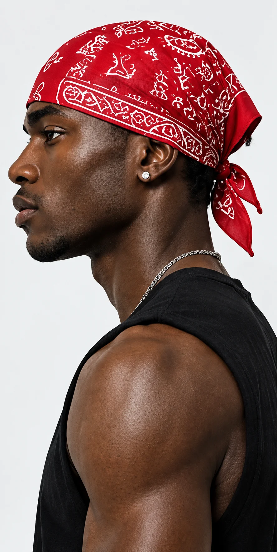 THE RED STANDARD - Image 2