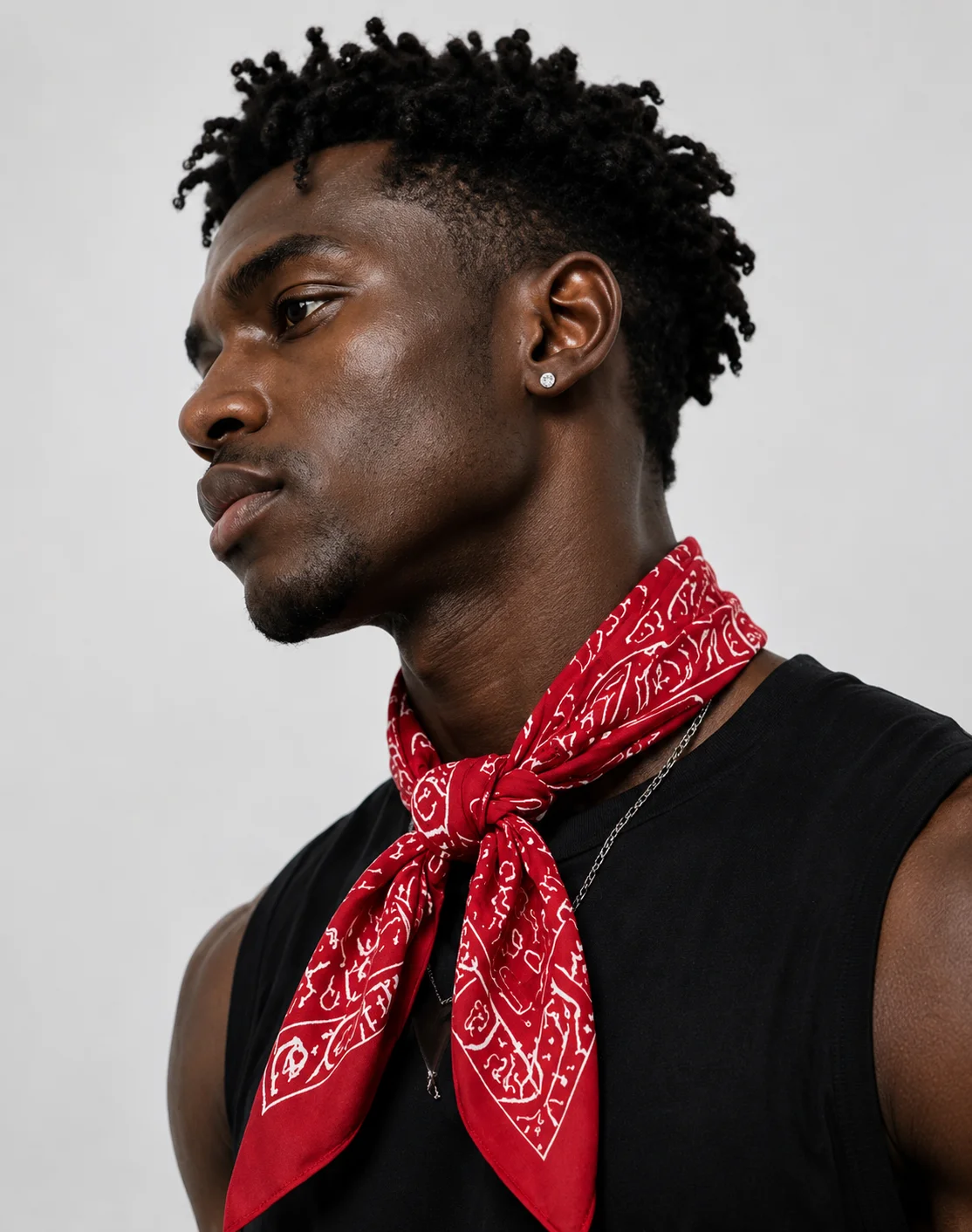 THE RED STANDARD - Image 4