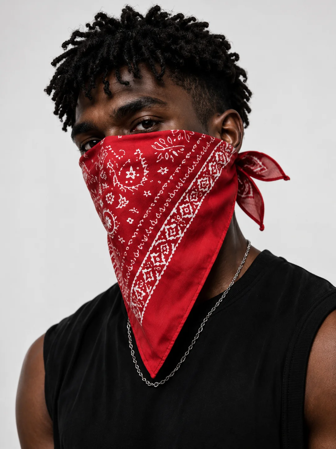 THE RED STANDARD